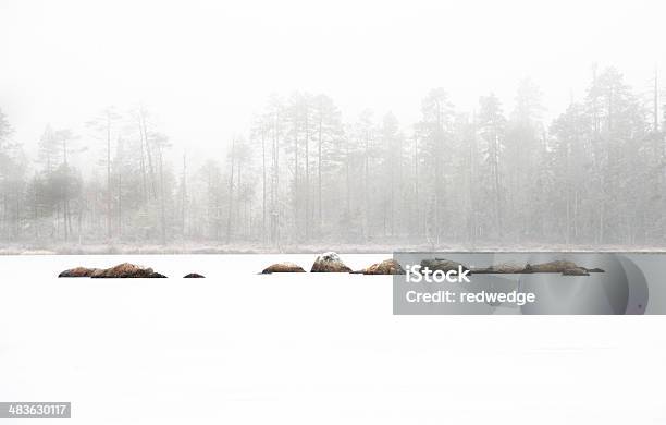 Rocks In Frozen Lake With Trees Stock Photo - Download Image Now - Cold Temperature, Finland, Finnish Lapland