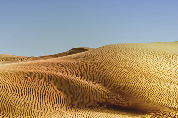 motivi astratti tra le dune del deserto - united arab emirates liwa desert saudi arabia arabia foto e immagini stock