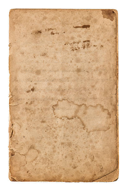 istock Aged paper on white background. Vintage book pages with edges 483631274