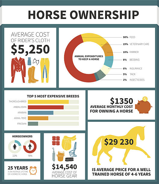 Dressage Grafiken - Illustrationen und Vektorgrafiken - iStock