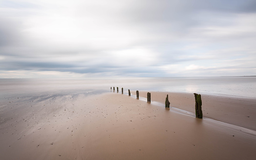 A line of wooden posts leading into the sea on a sandy beach.