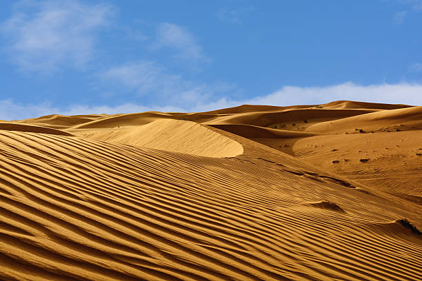 motivi astratti tra le dune del deserto - united arab emirates liwa desert saudi arabia arabia foto e immagini stock