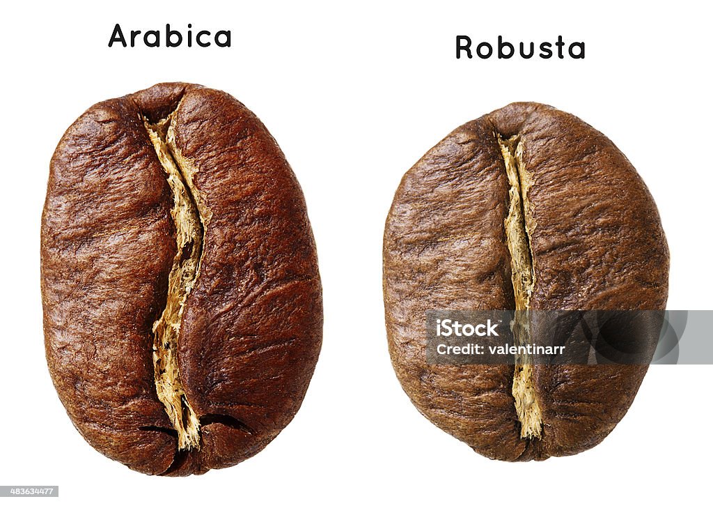 Black arabica, robusta coffee bean Black arabica, robusta coffee bean isolated on white background. Antioxidant Stock Photo