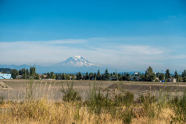 istock Mount Rainier From Tacoma 483635750