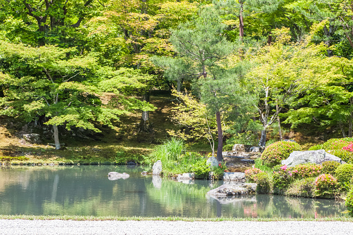 Beautiful japanese green garden in summer season