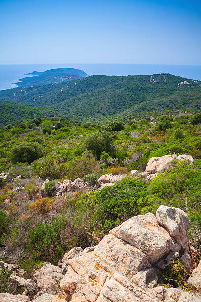 istock South Corsica, vertical coastal landscape with cape 483638922