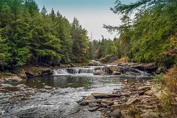rivière montagnes des appalaches en automne - rapid appalachian mountains autumn water photos et images de collection