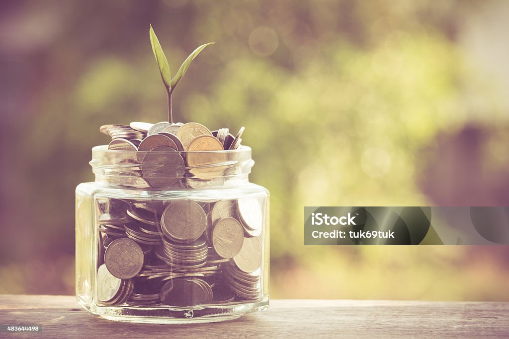 plant growing out of coins plant growing out of coins with filter effect retro vintage style Concepts Stock Photo