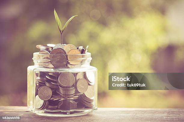 Plant Growing Out Of Coins Stock Photo - Download Image Now - Concepts, Financial Loan, 2015