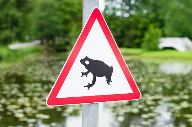 Photo of Traffic sign attends for frog migration, pond on background