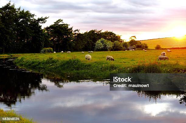 English Landscape Stock Photo - Download Image Now - 2015, Canal, Cloud - Sky