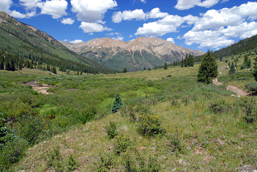 Elk Range Rocky Mountains Colorado