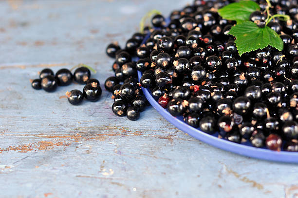 istock Black currants with green leaves on the blue bench 483655574