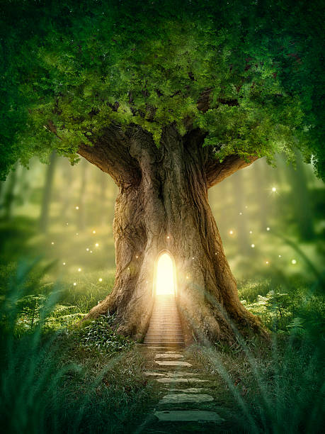 fantasia casa de árvore - fairy forest fairy tale mist imagens e fotografias de stock