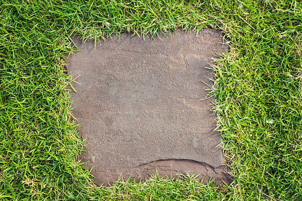 istock Stone walkway in the garden 483655923