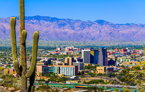 tucson, arizona do horizonte da cidade emolduradas por de cactus saguaro e montanhas - arizona desert photography color image - fotografias e filmes do acervo