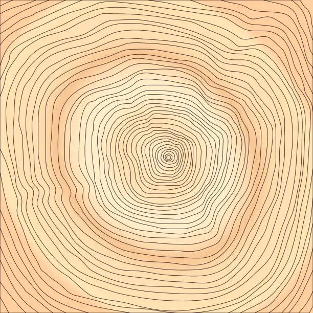 Vector illustration of tree rings