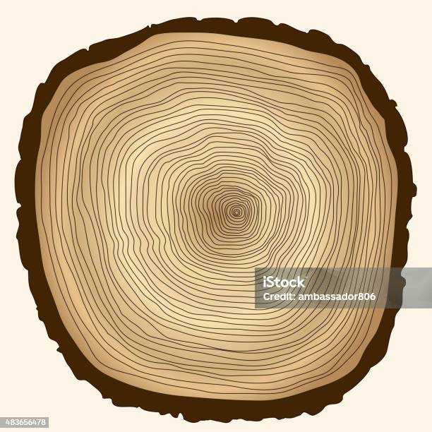 Tree Rings Cut Art Tree Rings Cut Stump Stock Illustration - Download Image Now - Ring ...
