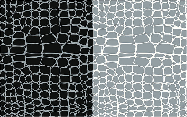 illustrazioni stock, clip art, cartoni animati e icone di tendenza di pelle di serpente seamless pattern - snakeskin snake print python