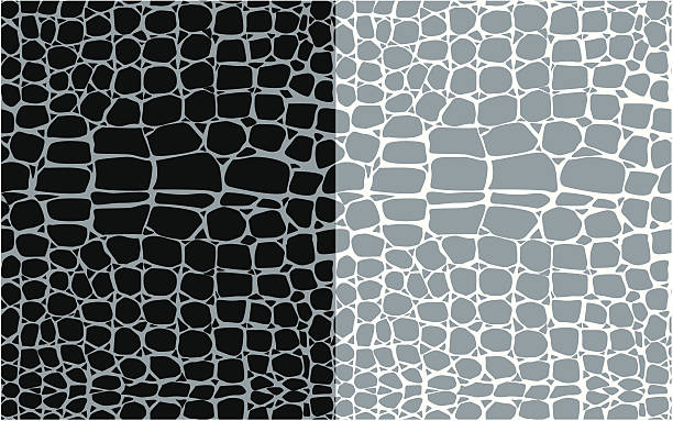 gad skóry bezszwowe wzory - snakeskin snake animal skin pattern stock illustrations