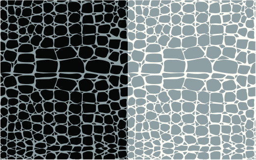 Set of reptile skin seamless patterns