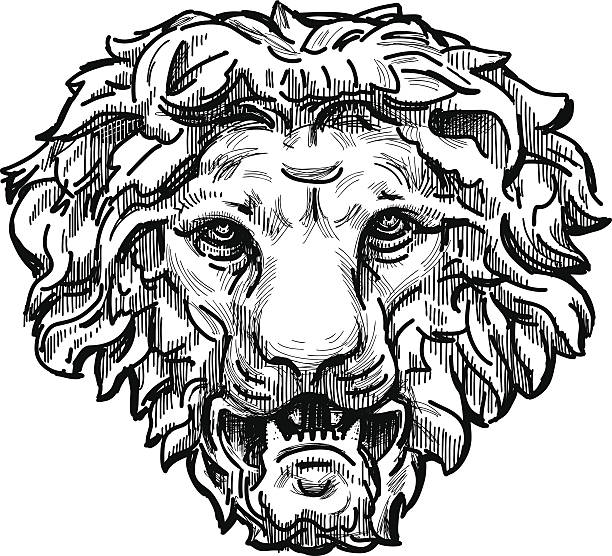 скалиться lion head - lions head mountain stock illustrations