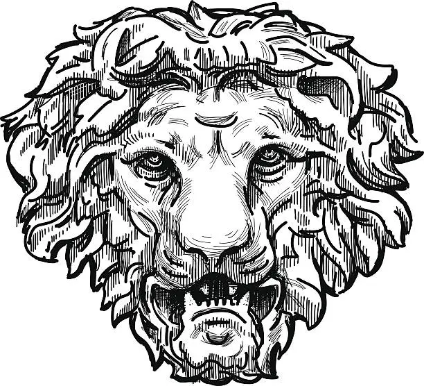 Vector illustration of snarling lion head