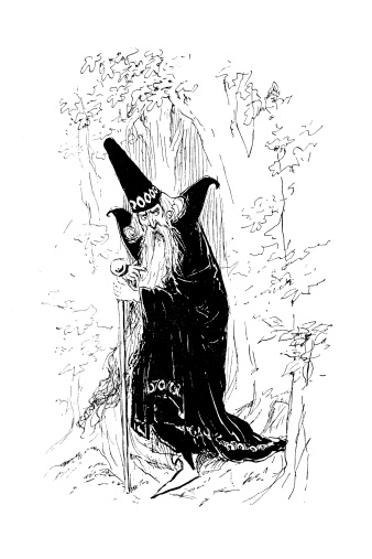 Wizard In The Forest