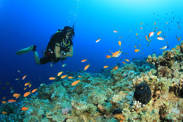 istock Woman Scuba Diver 483657573