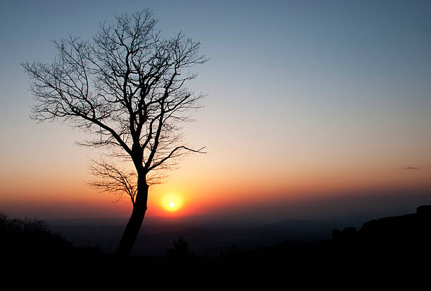 istock Sunrise in the mountains 483657991