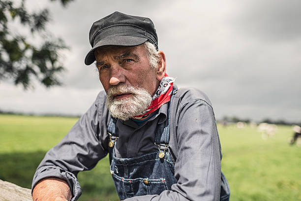 istock Elderly farmer leaning on a paddock fence 483659010
