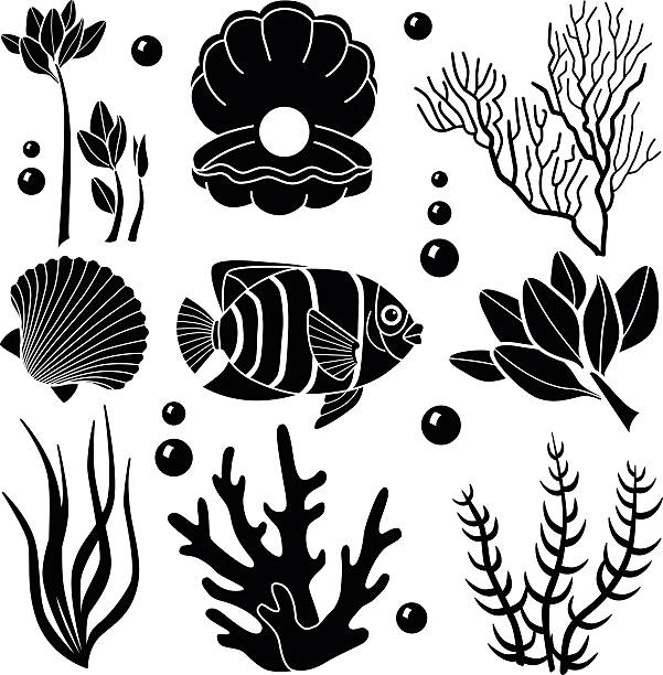 海の生き物デザイン要素 - soft coral illustrations点のイラスト素材／クリップアート素材／マンガ素材／アイコン素材