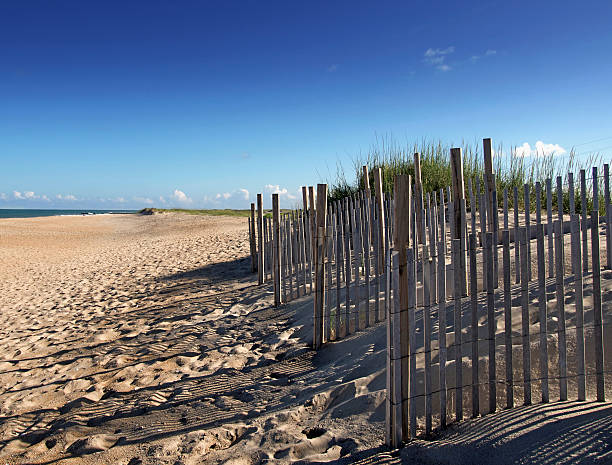 dune fences - sand sea oat grass beach sand dune stock-fotos und bilder