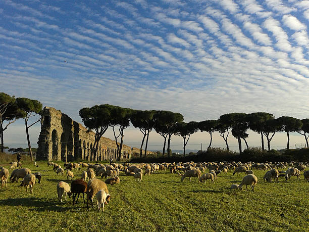 Ancient and Modern at the Park of the Aqueducts stock photo