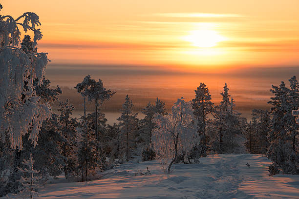 istock Golden sunrise over a frigid Lapland hilltop 483661477