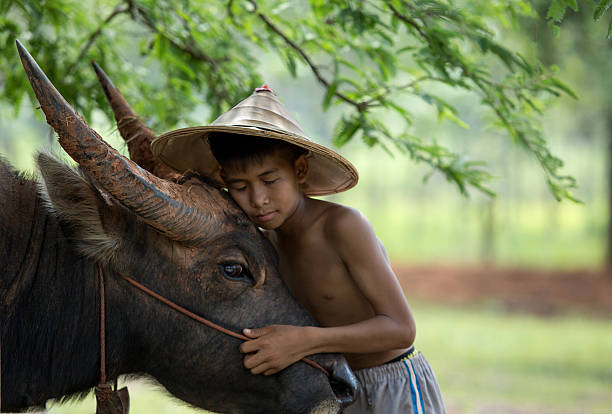 istock Children love to Buffalo 483662246