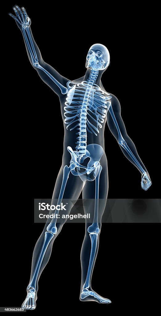 Raggi X del corpo umano, scheletro di un uomo con per lo studio - Foto stock royalty-free di Adulto