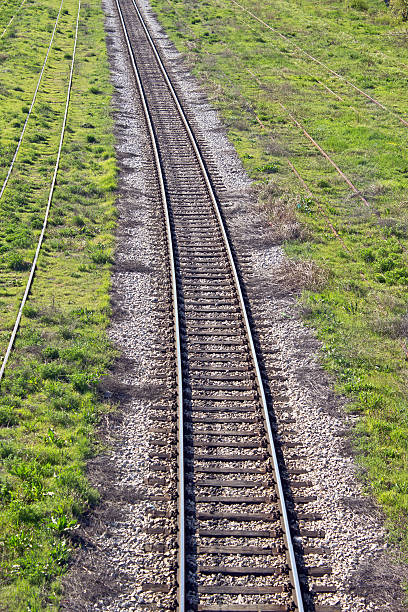 istock Railroad track through the landscape 483663003