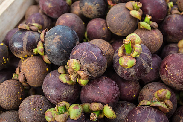 istock Mangosteen of Thailand 483666930