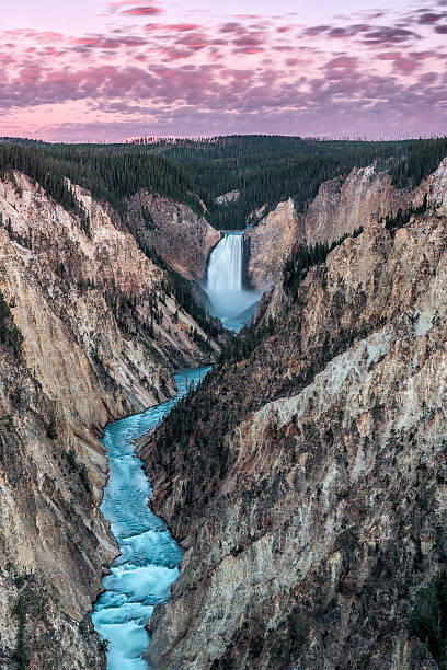 Sunrise of Yellowstone Lower Falls stock photo