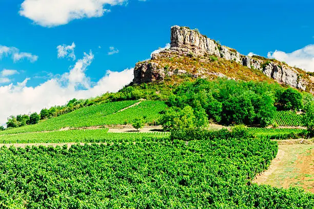 Vineyards topped by the Roche de Solutre in Burgundy, France. The region is famous for its white wines from Chardonnay grapes.