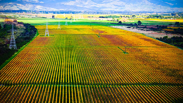 weingut nahe dem blenheim-new zealand. malerischen panoramablick - blenheim stock-fotos und bilder