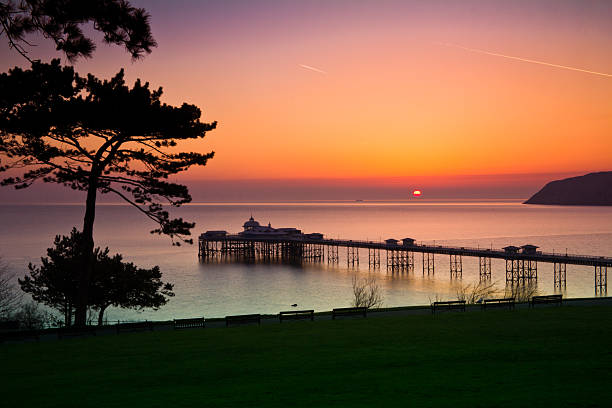 Dawn at the Pier stock photo