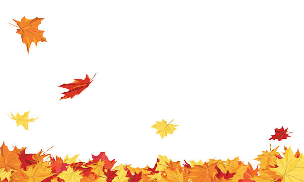Autumn Autumn copy-space frame with maple leaves falling stock illustrations