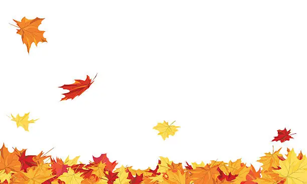 Vector illustration of Autumn