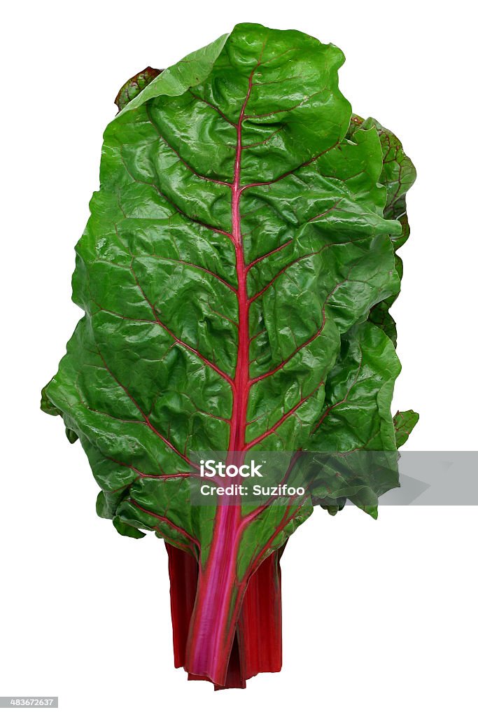 Swiss chard Leaves of Swiss chard, isolated on white. Chard is also known as "spinach beet," "rhubarb chard," "seakale beet," etc. Chard Stock Photo