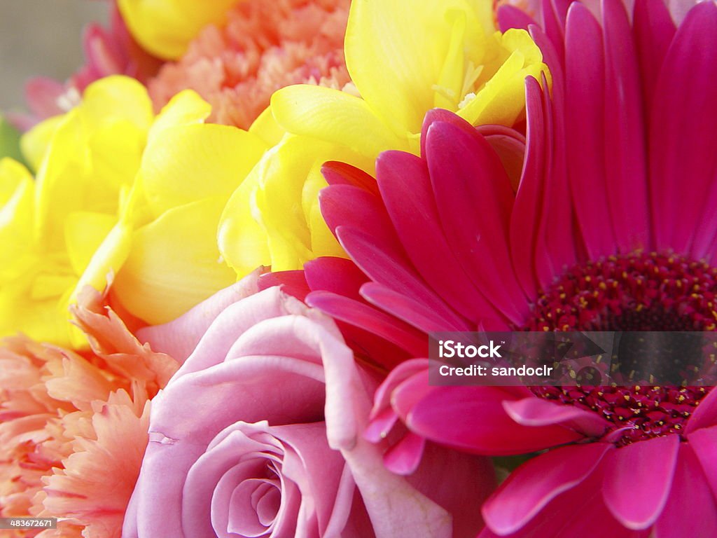 Brautjungfern bouquet - Lizenzfrei Blume Stock-Foto