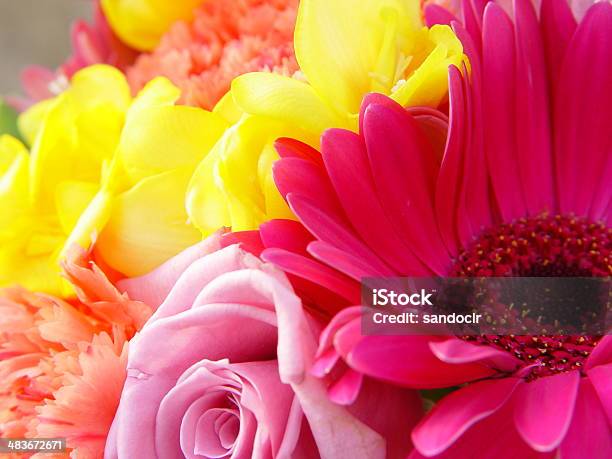 Brautjungfern Bouquet Stockfoto und mehr Bilder von Blume - Blume, Blumenbouqet, Blüte