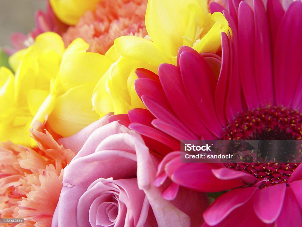 Damigella d'onore bouquet - Foto stock royalty-free di Bocca di leone