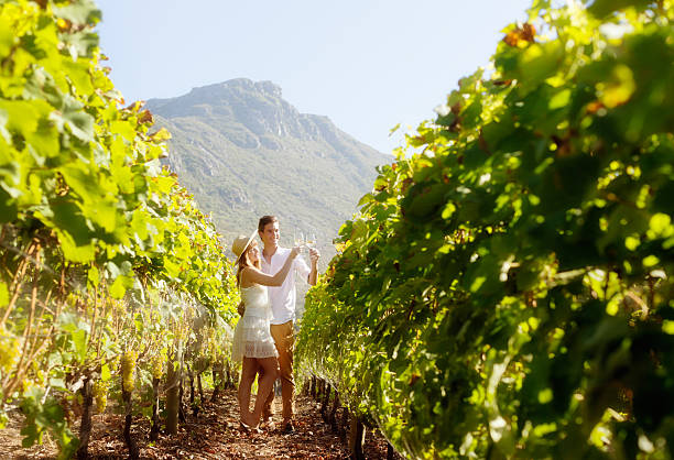 istock Young couple in beautiful vineyard toasting with white wine 483675237